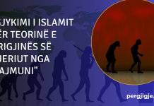 A është origjina e njeriut nga majmuni – Gjykimi islam mbi këtë besim devijues?!