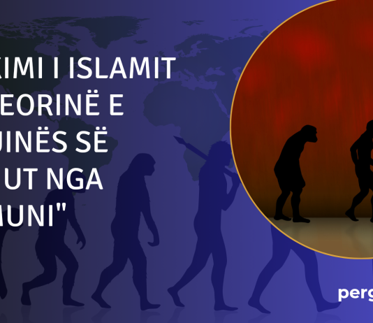 A është origjina e njeriut nga majmuni – Gjykimi islam mbi këtë besim devijues?!