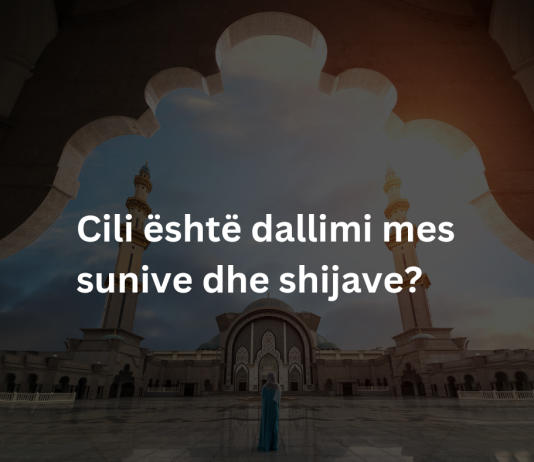 Cili është dallimi mes sunive dhe shijave?