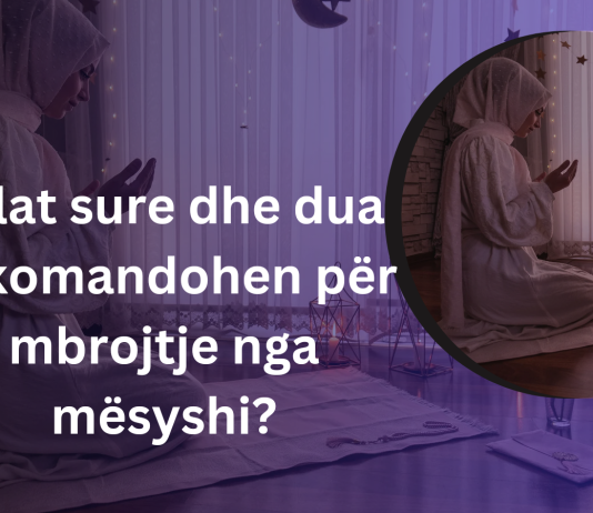 Cilat sure dhe dua rekomandohen për mbrojtje nga mësyshi?