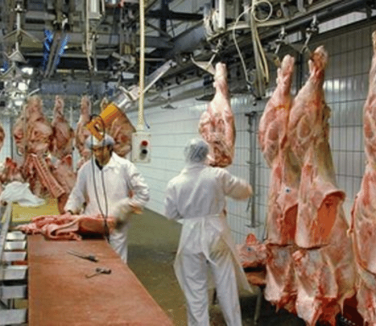 Falja e namazit me rroba të përlyera me gjak?!