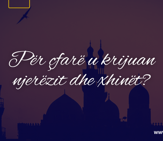 Ç’është urtësia e krijimit të njerëzve dhe xhinëve?