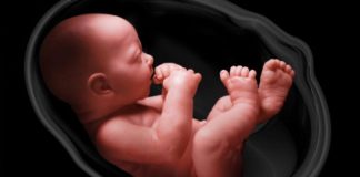 A therret kurban për fëmiun që ka vdekur në barkun e nënës?