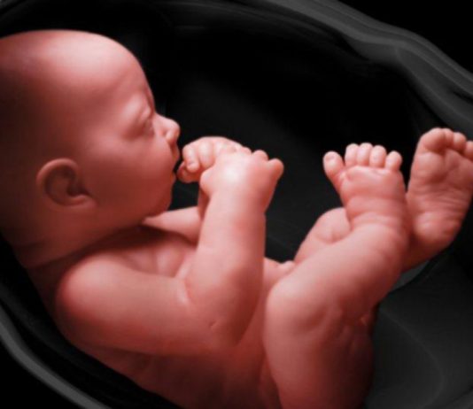 A therret kurban për fëmiun që ka vdekur në barkun e nënës?