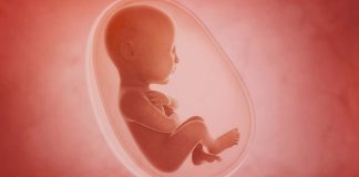 A është në kundërshtim zbulimi i gjinisë së foshnjës nga ana e mjekëve me fjalën e Allahut të Lartësuar: “Dhe Ai e di çfarë ka në mitra”?