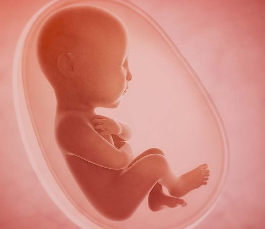 A është në kundërshtim zbulimi i gjinisë së foshnjës nga ana e mjekëve me fjalën e Allahut të Lartësuar: “Dhe Ai e di çfarë ka në mitra”?