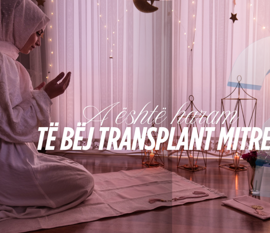 A lejohet transplantimi i mitrës?