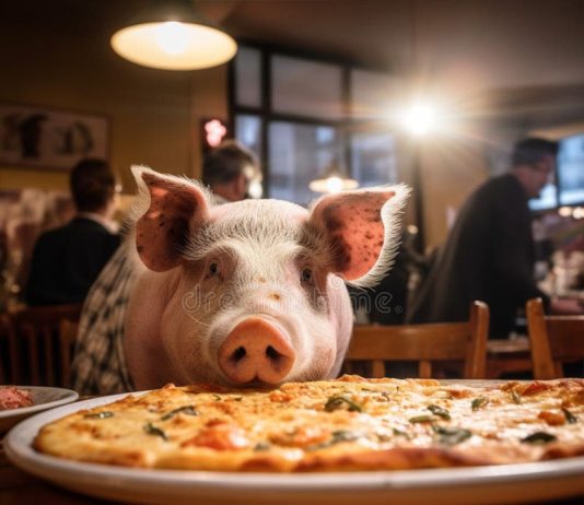 A lejohet të punosh në një pizzeri ku shitet mishi i derrit?