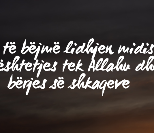 Si të bëjmë lidhjen midis mbështetjes tek Allahu dhe bërjes së shkaqeve