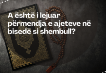 Çfarë gjykimi ka citimi i ajeteve në formë shembulli?