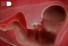 Si duhet vepruar me foshnjën e palindur(Embrionin)nese vdes sipas sheriatit?”