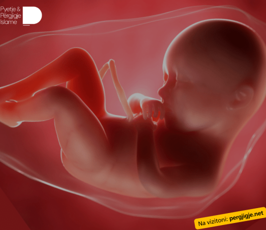 Si duhet vepruar me foshnjën e palindur(Embrionin)nese vdes sipas sheriatit?”