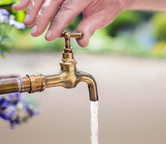 Si merret avdesi, gusli & tejemumi (shkurtimisht)?