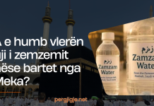 A e humb vlerën uji i zemzemit nëse bartet nga Meka?