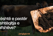 A është e pastër jashtëqitja e kafshëve?