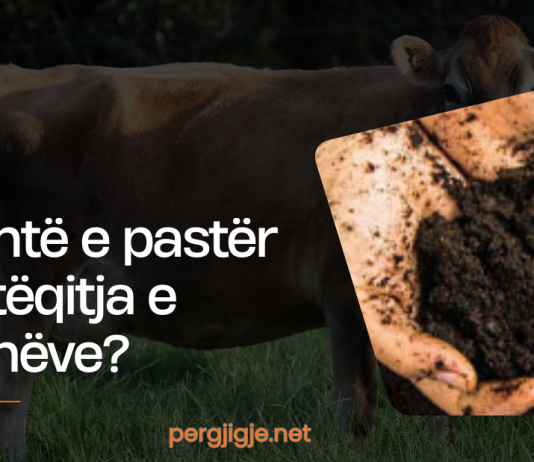 A është e pastër jashtëqitja e kafshëve?