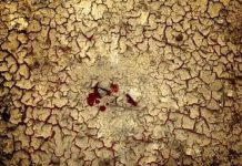 Magjia dhe idhujtaria…?!