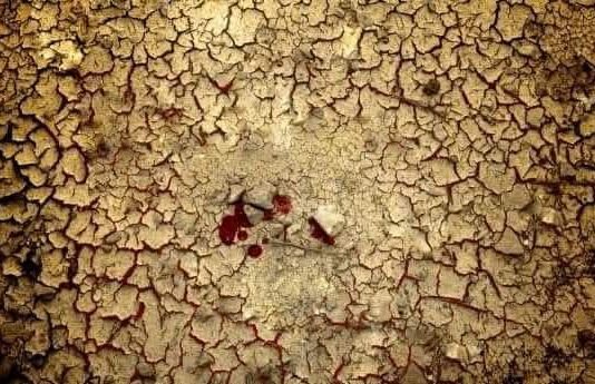 Magjia dhe idhujtaria…?!