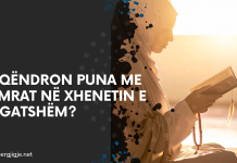 Si qëndron puna me femrat në xhenetin e begatshëm?