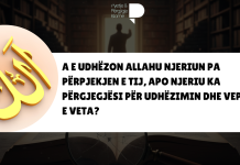 A e udhëzon Allahu njeriun pa përpjekjen e tij, apo njeriu ka përgjegjësi për udhëzimin dhe veprat e veta?