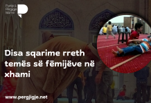 Disa sqarime rreth temës së fëmijëve në xhami