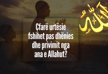 Pse Allahu i jep dikujt atë që kërkon dhe tjetrit jo, edhe pse të dy luten me sinqeritet?