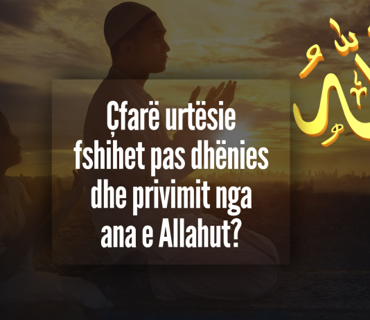 Pse Allahu i jep dikujt atë që kërkon dhe tjetrit jo, edhe pse të dy luten me sinqeritet?
