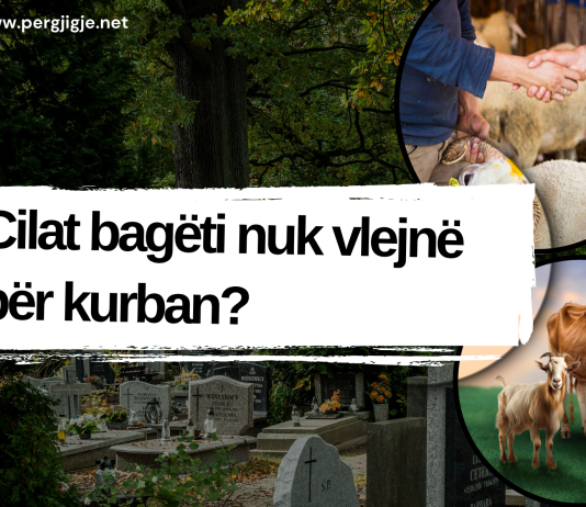 Cilat bagëti nuk vlejnë për kurban?