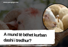 A mund të bëhet kurban dashi i tredhur?