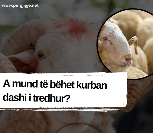 A mund të bëhet kurban dashi i tredhur?