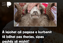 A lejohet që pagesa e kurbanit të bëhet pas therjes, sipas peshës së mishit?
