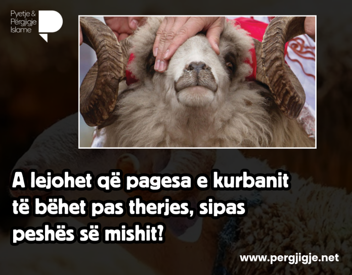 AddText_05-28-06.00.07