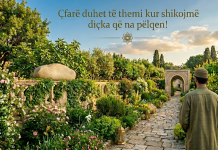 Çfarë duhet të themi kur shikojmë diçka që na pëlqen!