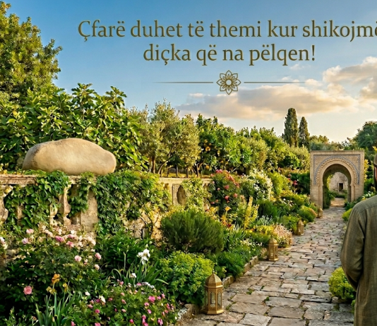 Çfarë duhet të themi kur shikojmë diçka që na pëlqen!