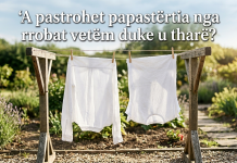 A pastrohet papastërtia nga rrobat vetëm duke u tharë?