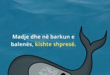 Cila është lutja për të cilën u përbetua Profeti se Allahu ia lehtëson gjendjen besimtarit?