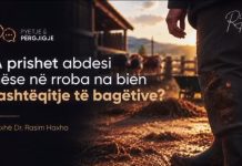 A prishet abdesi nëse në rroba na bien jashtëqitje të bagëtive?