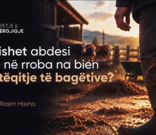 A prishet abdesi nëse në rroba na bien jashtëqitje të bagëtive?